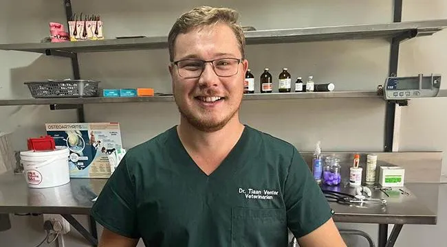 Antihistamines for dogs: What’s safe, what’s not, and when to call the vet