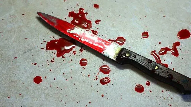 Brave boy, 9, dies trying to protect his mother