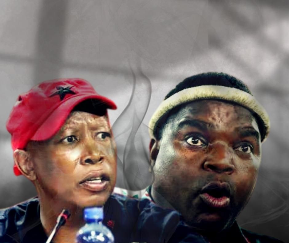 EFF KZN kritisiert Ngizwe Mchunu scharf für seine Erklärung ...