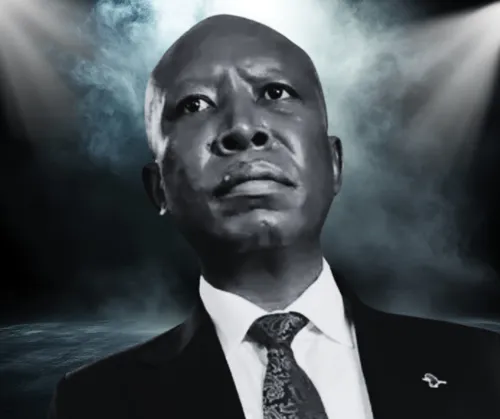 Experts warn Malema's appeal gamble could increase his jail term