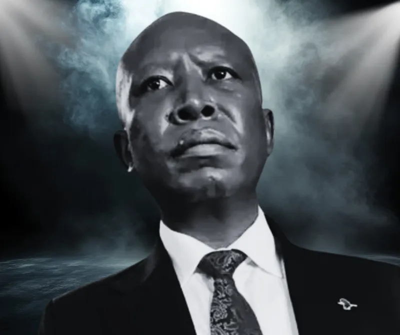 Experts warn Malema's appeal gamble could increase his jail term