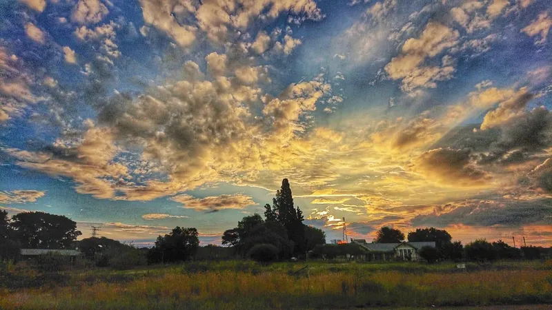 What's on in Kimberley from February 10 and beyond