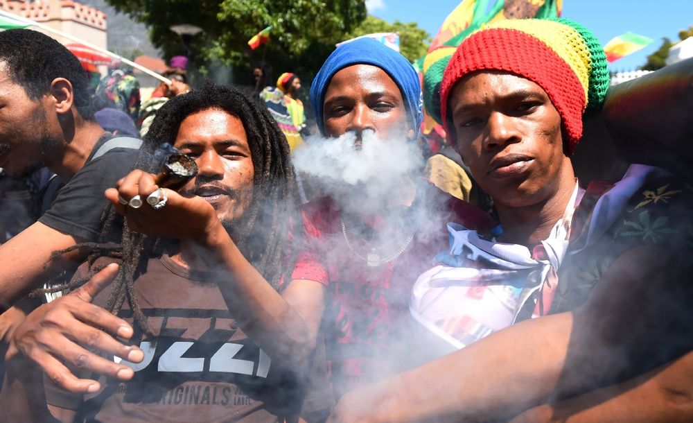 High Court showdown: Rastafari nation and small-scale farmers challenge ‘arbitrary’ cannabis laws