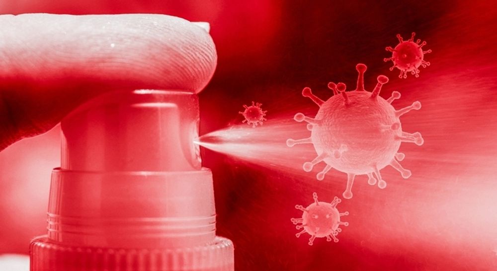 Sanitiser superbug: Concern over disinfectant-resistant bacteria which ...