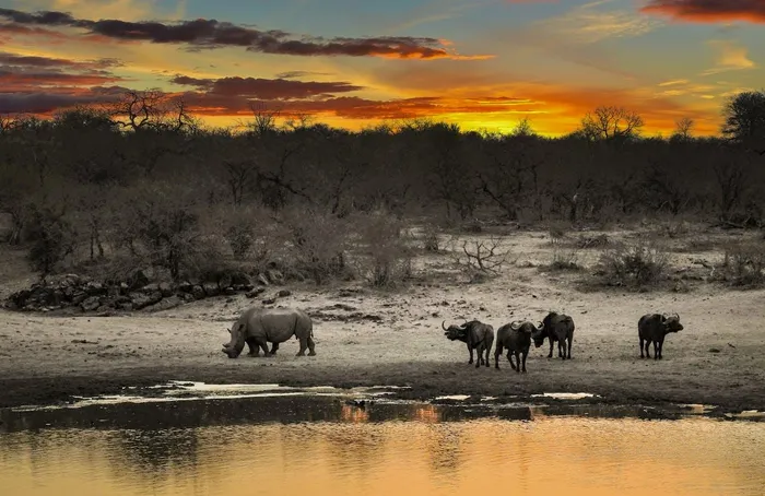 There’s something magical about the bushveld in winter.
