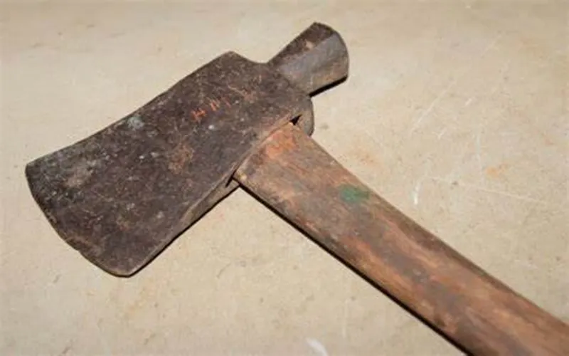 Northern Cape man sentenced for vicious axe attack on sister