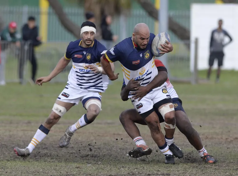 Violets in do-or-die battle for championship glory