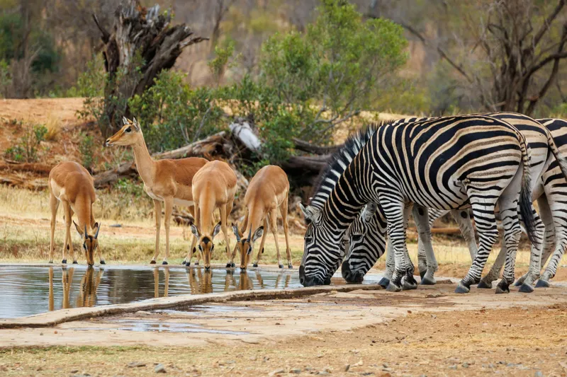 IOL News | Latest South African News