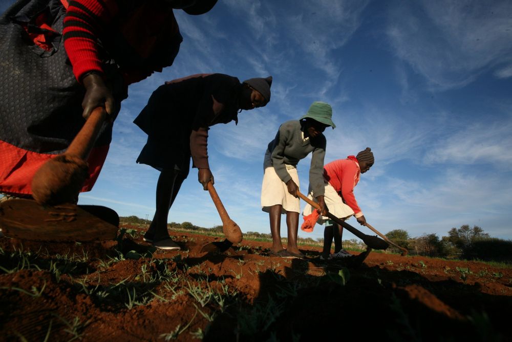 Just land ownership key to equality