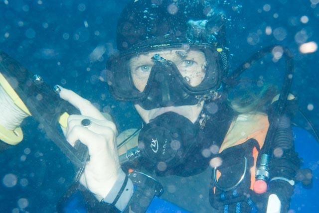 Explore the underwater world at Gordon’s Bay Yacht Club