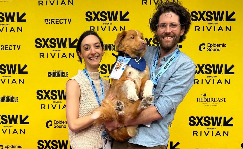 Dog wins movie award, beating actors like Ethan Hawke