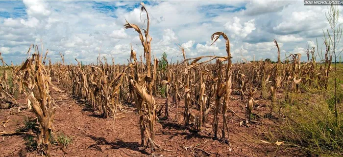 Drought strikes the Western Cape.