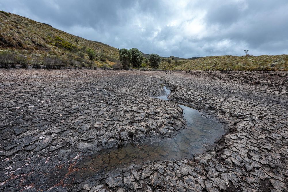El Niño warning: Scientists say a major climate threat is approaching — and Southern Africa could feel it first
