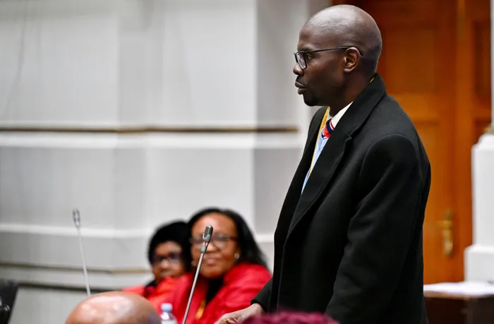 During his address, Impeachment Committee Chairperson Makashule Gana said they support the report of rules, and he also responded to Manyi’s remarks. 

