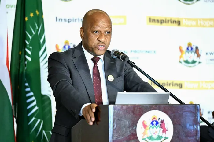 KwaZulu-Natal Premier Thamsanqa Ntuli addresses concerns over undocumented immigration at a summit in Durban.