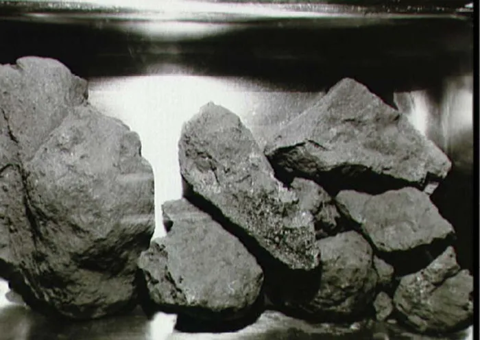 File photo: A close-up view of the lunar rocks contained in the second Apollo 11 sample return container.