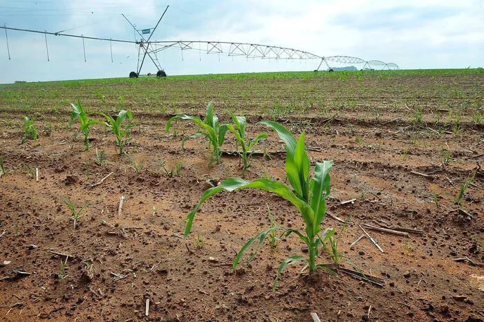Recent data evaluating agricultural property deals throughout the nine provinces reveals that water security is now a primary factor influencing the value of farmland.