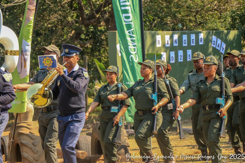 Kunconywa isibindi sembokodo eqapha eziqiwini
