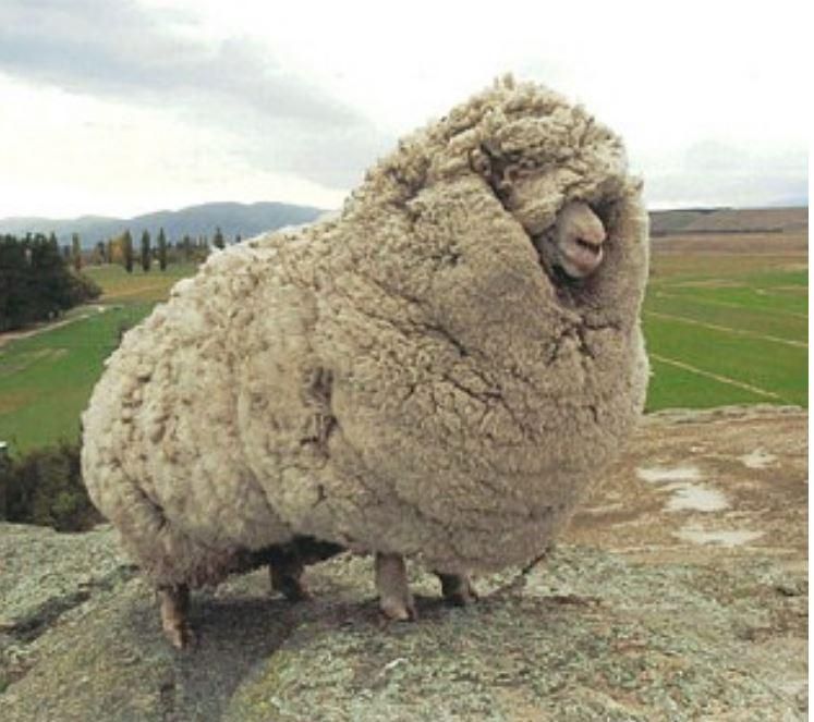 On This Day: Assassins, mutinies, plagues and disasters that shaped history