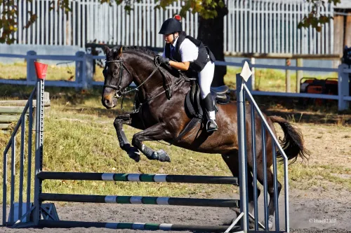 Top class riders to compete in Stellenbosch