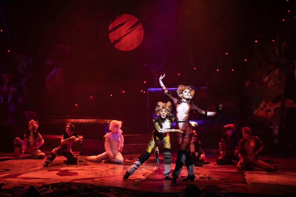 Stellar cast shines as CATS the musical continues into January 2026 at Johannesburg’s Teatro