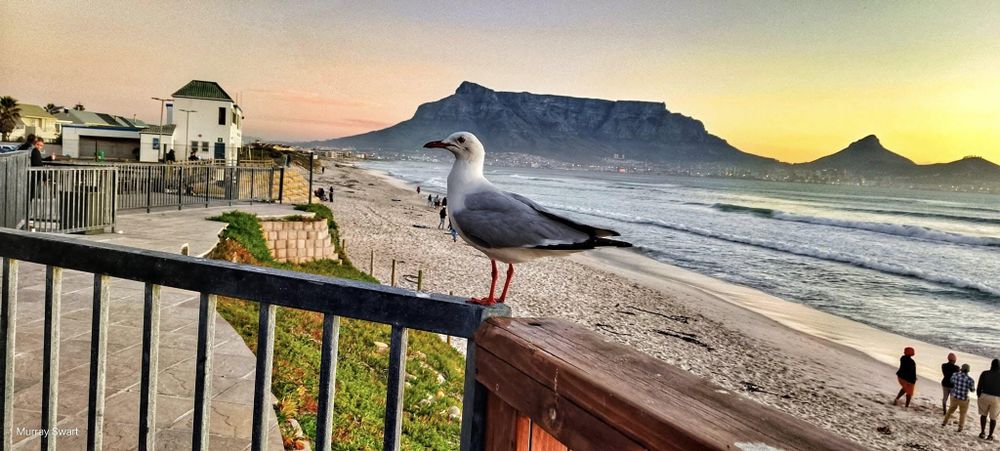 Why Cape Town's appeal is challenged in Jeune Afrique's latest ranking