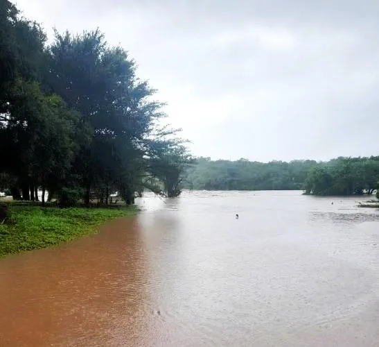 Two children drown in separate Limpopo incidents as severe flooding batters province