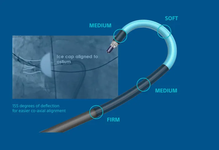 POLARSHEATH™ steerable sheaths are part of the recall. 