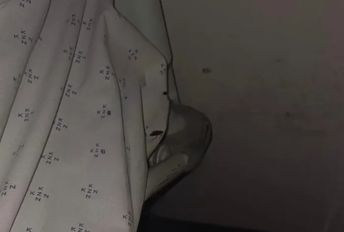 Cockroaches crawling on the beds. 