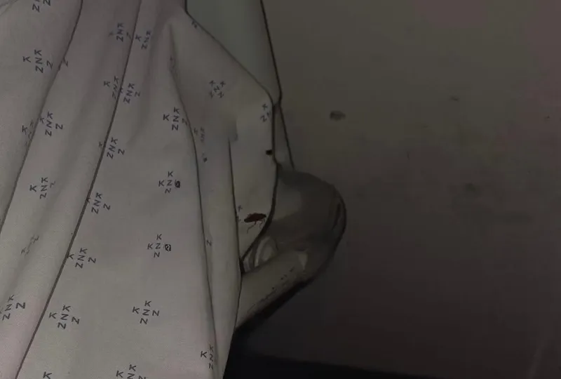 Patient's shocking account of ‘cockroach infestation’ at Durban’s King Dinuzulu Hospital