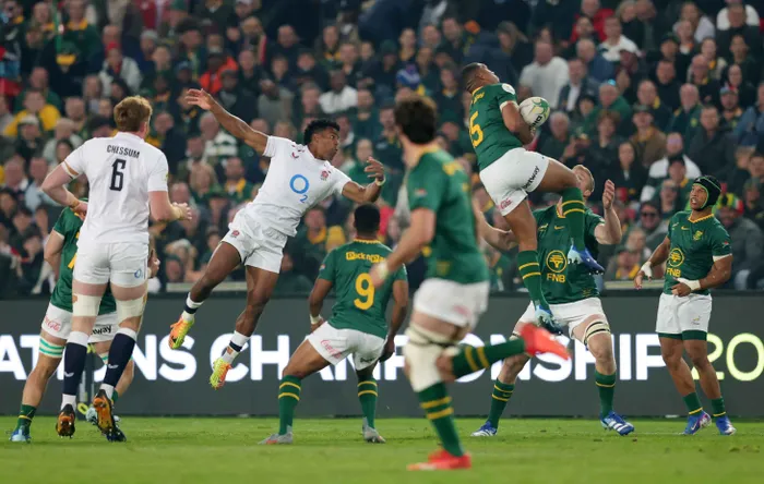 PLAYER RATINGS | Damian Willemse and Cheslin Kolbe shine as Springboks ...