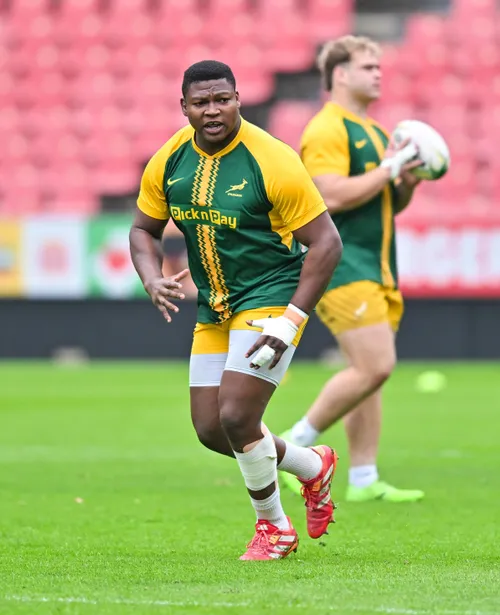 Springboks v Scotland: Mchunu determined to impress after standout season with Stormers