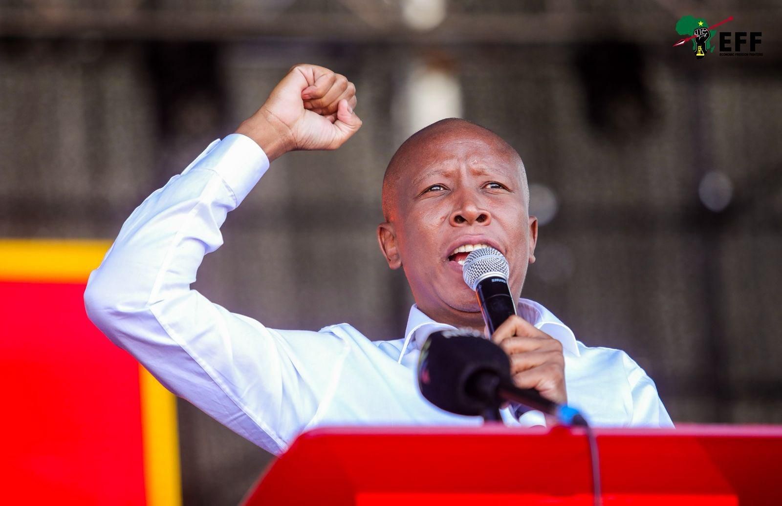 EFF Leader Malema calls for Zimbabweans in SA to seek jobs in their own country