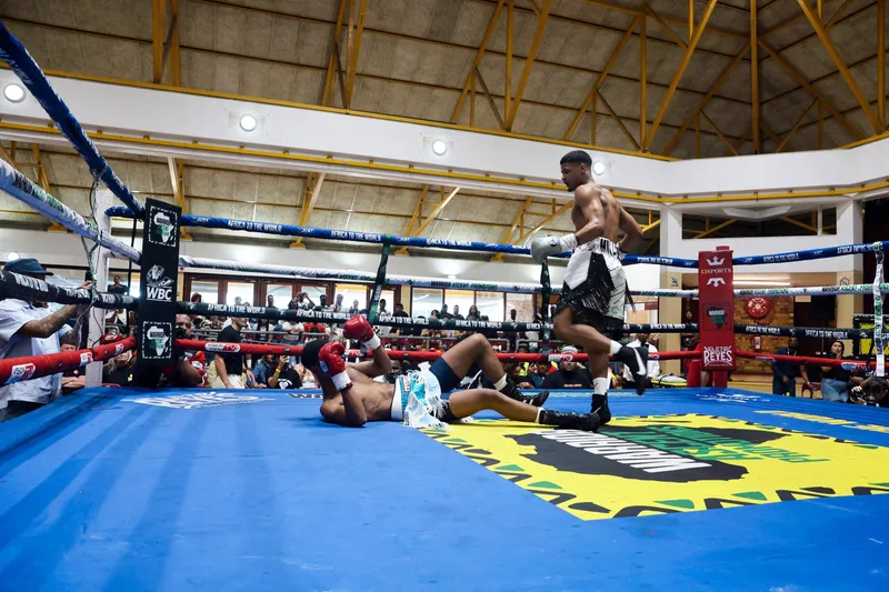 Plain’s knockout kings own the spotlight