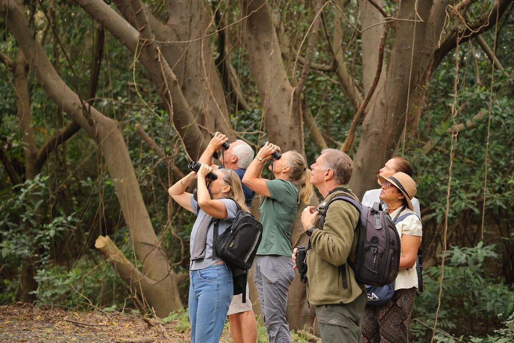 KwaZulu-Natal’s birdlife boosts tourism as vital habitats face growing pressure - IOL