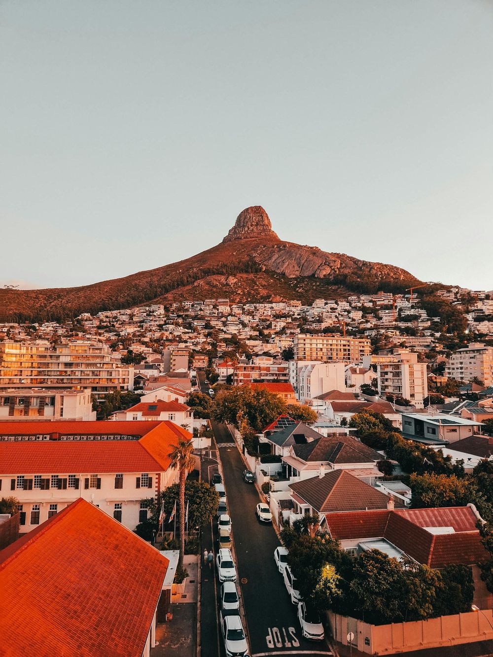 Five Cape Town restaurants with spectacular views worth planning a meal around - IOL