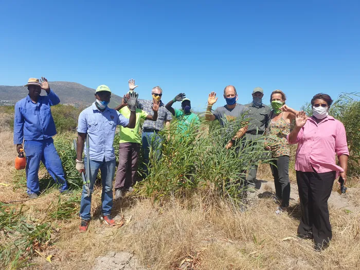 The City of Cape Town’s Recreation and Parks Department has joined hands with Project Noordhoeked to clear invasive alien vegetation growing in parts of the Noordhoek Wetland. Picture: City of Caoe Town/Supplied