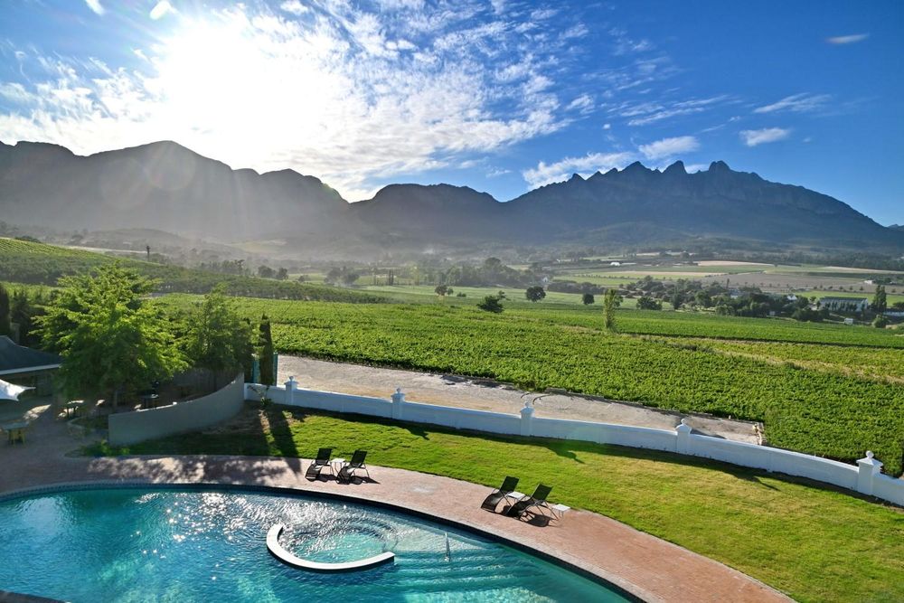 Exploring Wellington: a journey through history and wine