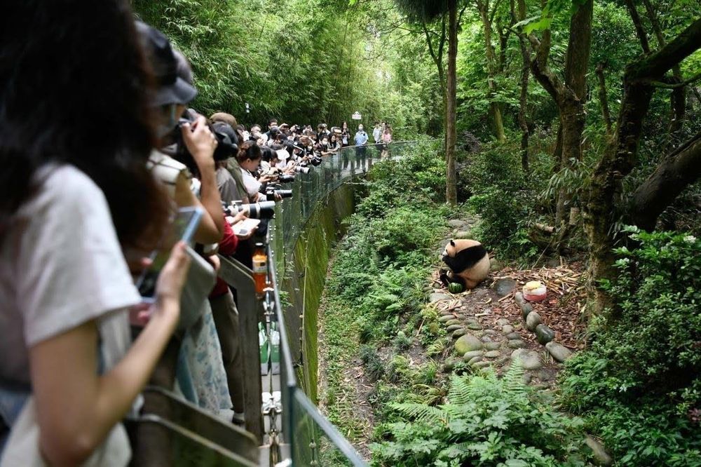 Over 30 global mayors gather in Chengdu for Dialogue