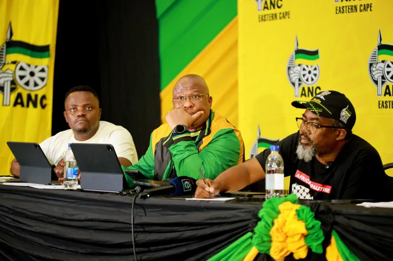 ANC Eastern Cape condemns King Buyelekhaya Dalindyebo's invitation to Israeli officials