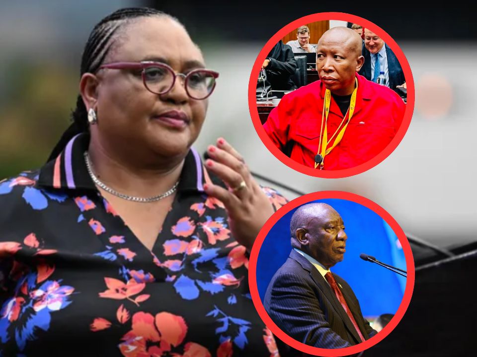 The Phala Phala fight: Why Malema wants Didiza out