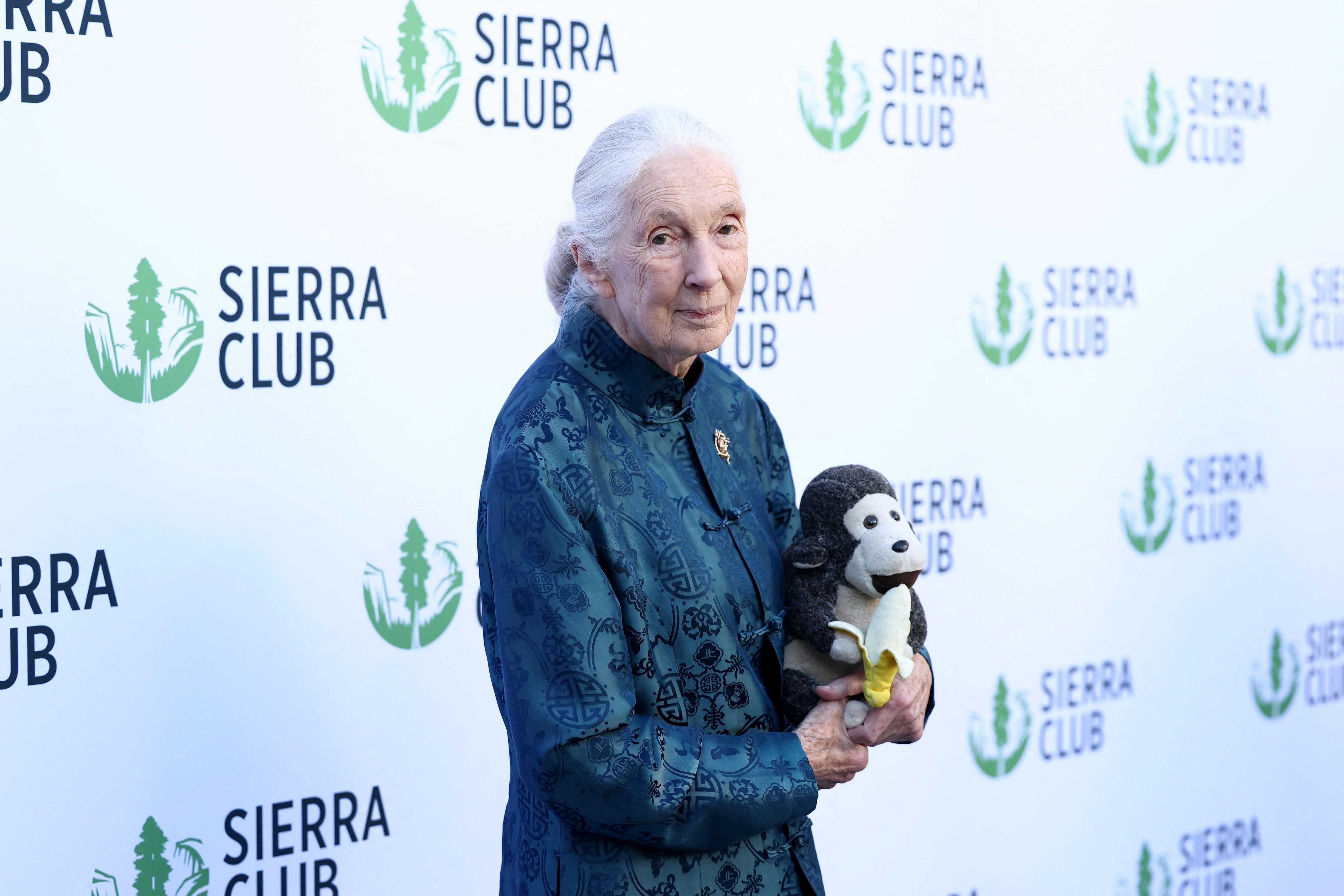 Remembering Jane Goodall: A legacy of chimpanzee conservation and environmental advocacy