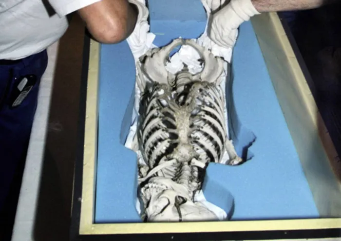 Back home: Officials adjust the remains of Sarah Baartman at the South African embassy in Paris in 2002 before they were brought to South Africa. Now a new bid has been launched to retrieve the remains of a Khoisan chief from Australia.