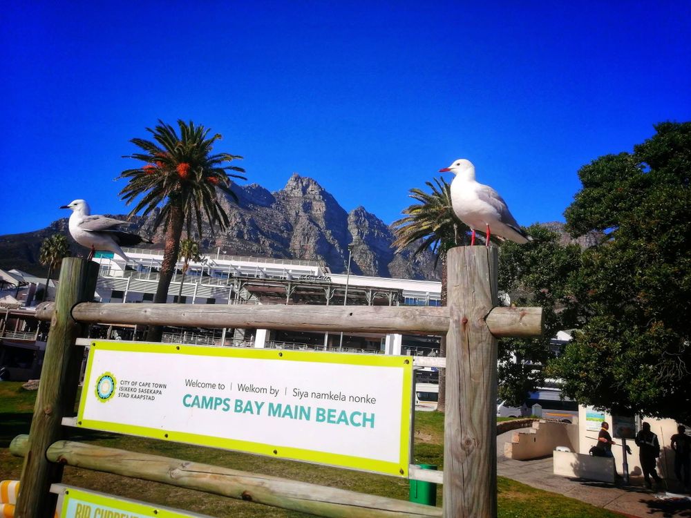 Fake Camps Bay villa listing allegedly tricks holidaymakers and targets estate agents
