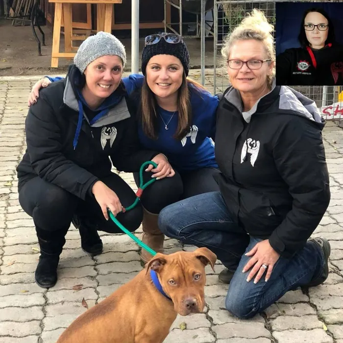 Graceland Animal Sanctuary team are in desperate need of property to rehome their animals. Picture: Graceland Sanctuary