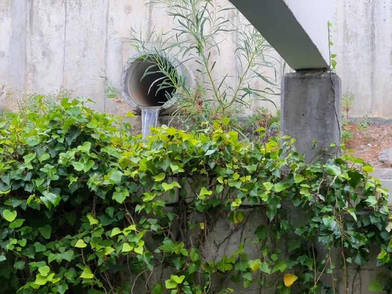 Cape Town's water crisis: Hout Bay residents frustrated by delayed repairs