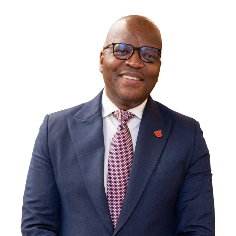 How Africa can turn fragmented mineral belts into coherent regional value chains