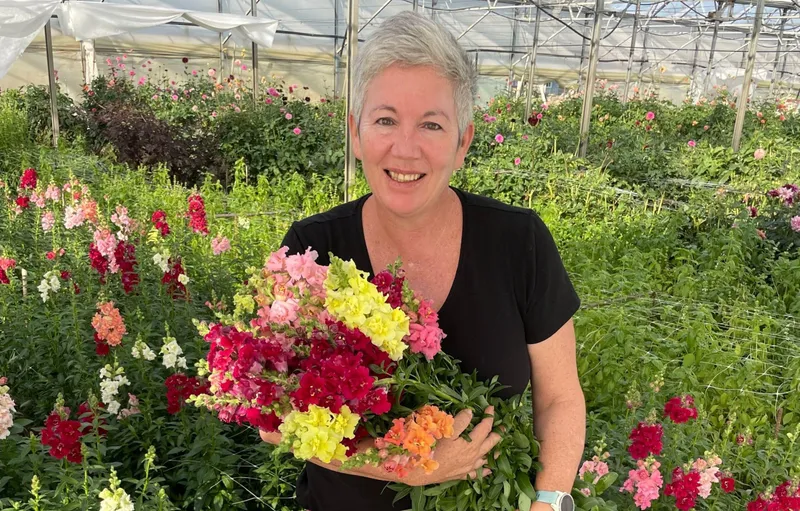 Experience the Love Dahlias Festival in Douglas: A Blooming Delight!