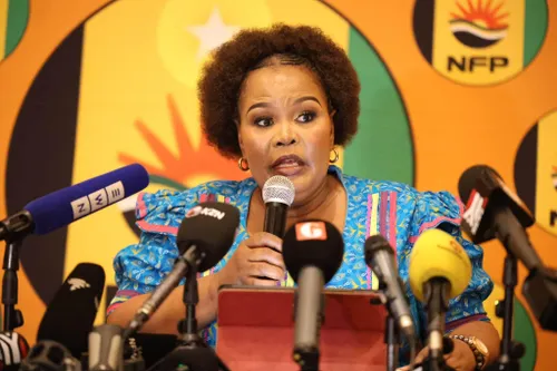 Mbali Shinga’s KZN Legislature seat declared vacant after High Court ruling
