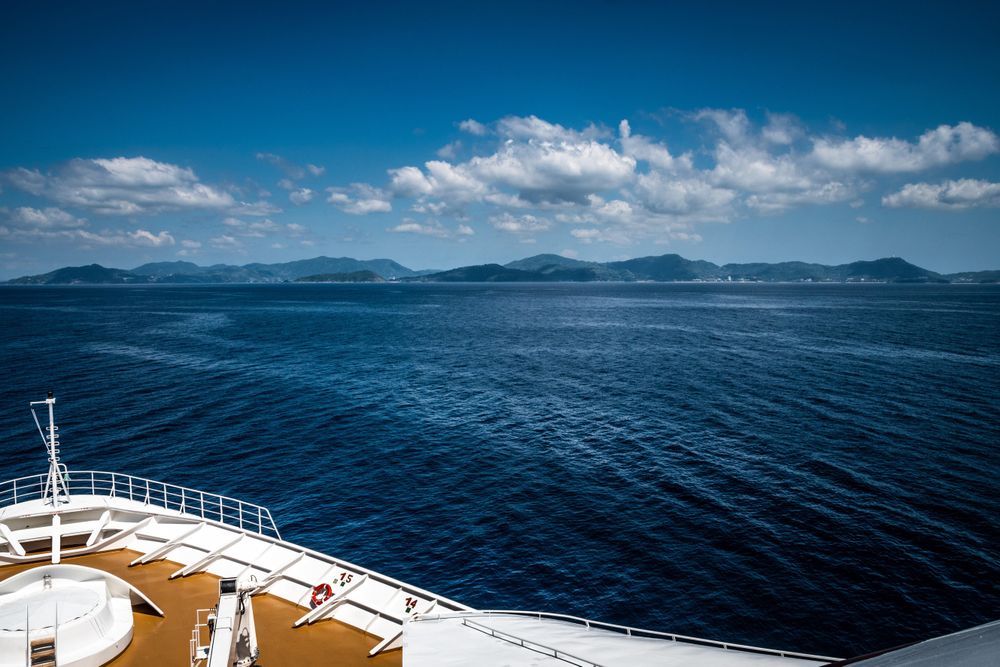 Three dead after suspected Hantavirus outbreak on cruise, patient hospitalised in South Africa